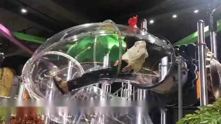 Vasia Residential Plastic Slide Outdoor Playground Toys/Used Outdoor Kids Game/Outdoor Playground Equipment for Children